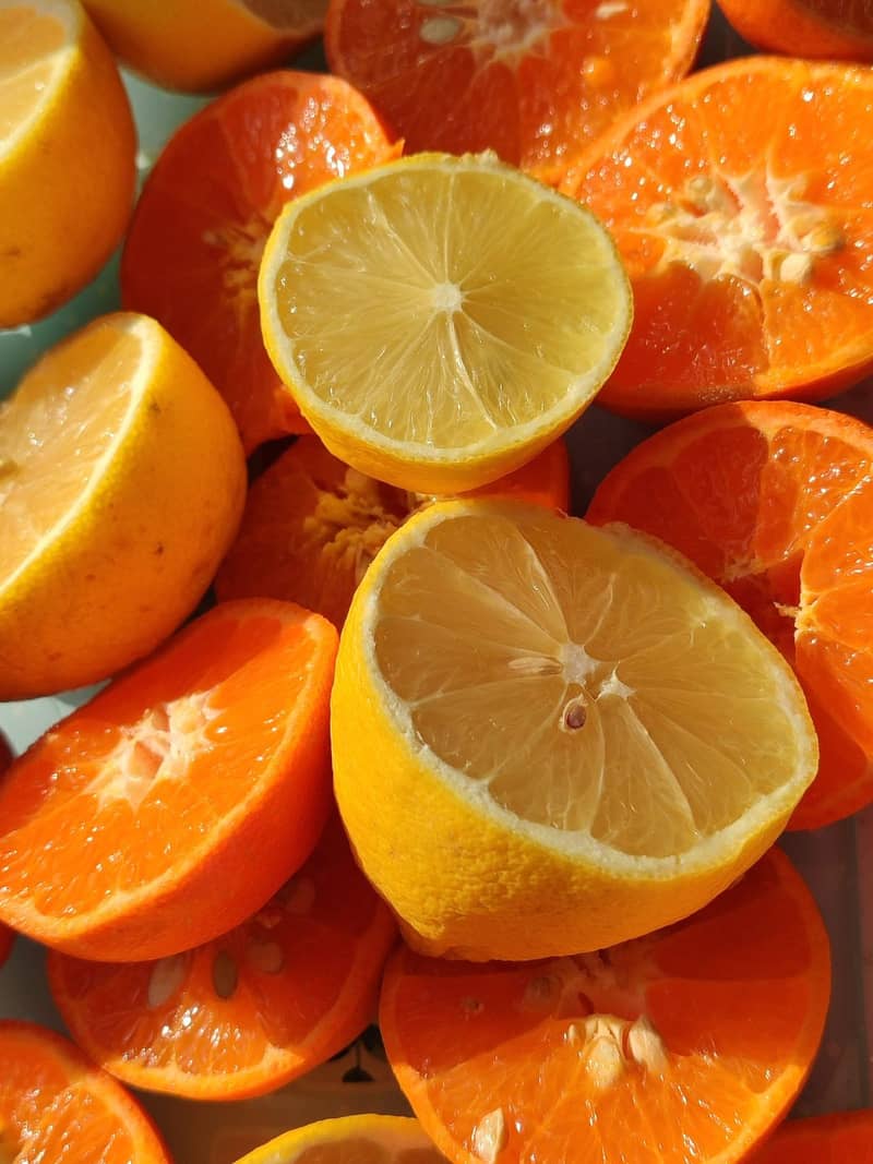 Cítricos frescos cortados en rodajas, ricos en vitamina C